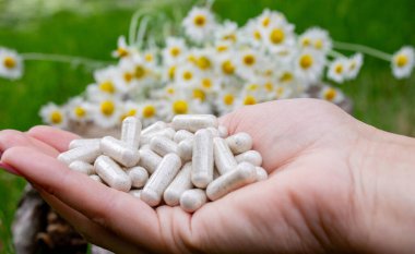 Çiçekli Ellerde Bitkisel Papatya Kapsülleri.