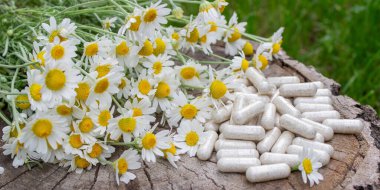 Tahta yüzeyde Papatya Kapsülü ve Taze Papatyalar.