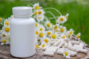 Tahta yüzeyde Papatya Kapsülü ve Taze Papatyalar.