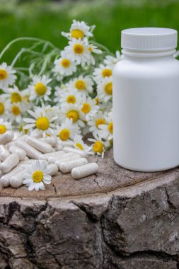 Tahta yüzeyde Papatya Kapsülü ve Taze Papatyalar.