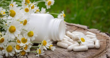 Tahta yüzeyde Papatya Kapsülü ve Taze Papatyalar.