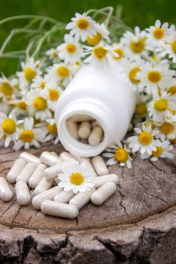 Tahta yüzeyde Papatya Kapsülü ve Taze Papatyalar.