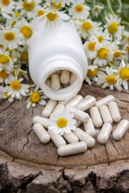 Tahta yüzeyde Papatya Kapsülü ve Taze Papatyalar.