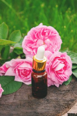 Şişe içinde gül yağı. Gerekli yağlar.
