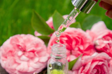 Şişe içinde gül yağı. Gerekli yağlar.