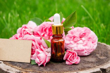 Şişe içinde gül yağı. Gerekli yağlar.