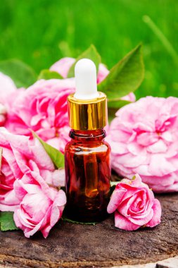 Şişe içinde gül yağı. Gerekli yağlar.