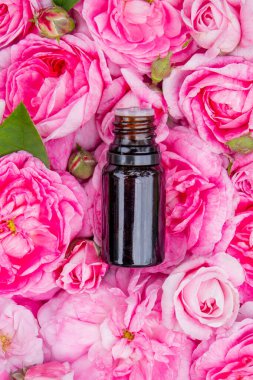 Şişe içinde gül yağı. Gerekli yağlar.