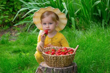 Çocuk bahçede çilek yiyor. Bir kütüğün üzerinde sepetin içinde çilek.