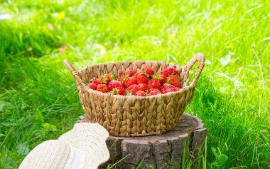 Arka planda bir kütük üzerinde sepetteki çilekler.