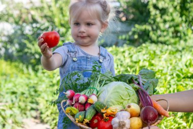 Bahçesinde sebzeleri olan küçük bir kız. Seçici odak.