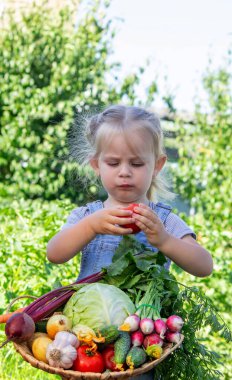 Bahçesinde sebzeleri olan küçük bir kız. Seçici odak.