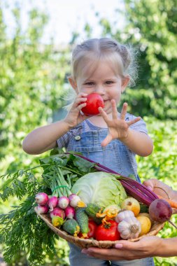 Bahçesinde sebzeleri olan küçük bir kız. Seçici odak.
