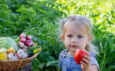 Bahçesinde sebzeleri olan küçük bir kız. Seçici odak.
