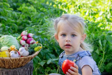 Bahçesinde sebzeleri olan küçük bir kız. Seçici odak.