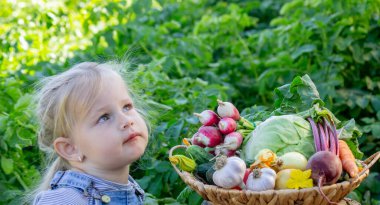 Bahçesinde sebzeleri olan küçük bir kız. Seçici odak.