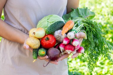Eller Taze Organik Bahçe Sebzelerini Tutuyor.