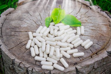 Kapsüllerde bitkisel ilaçlar, ağaç gövdesinde bitki yaprakları.