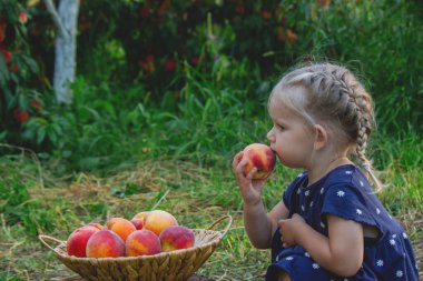 Bahçesinde şeftali sepeti olan tahta bir kütükte oturan küçük kız.