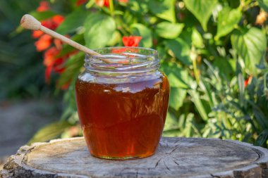 Bahçe ve çiçeklerin arka planında taze bal. Seçici odak.