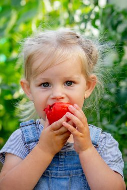 Küçük kız serada domates yiyor..