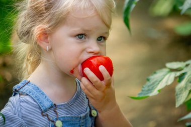 Küçük kız serada domates yiyor..