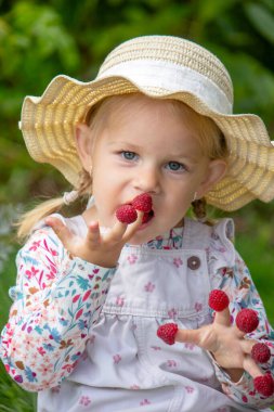 Bahçede ahududu yiyen küçük bir kız. Parmaklarında ahududu var.