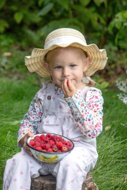 Bahçede ahududu yiyen küçük bir kız. Parmaklarında ahududu var.