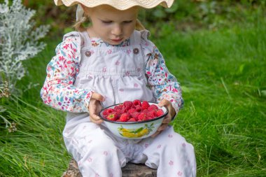 Bahçede ahududu yiyen küçük bir kız. Parmaklarında ahududu var.
