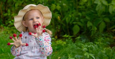 Bahçede ahududu yiyen küçük bir kız. Parmaklarında ahududu var.