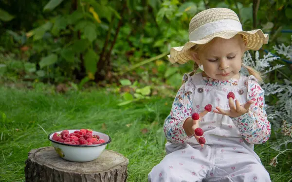 Bahçede ahududu yiyen küçük bir kız. Parmaklarında ahududu var.