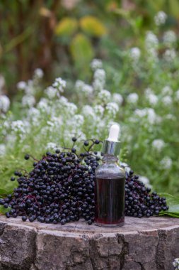 Halk ilaçları ve ahşap bir kütükte doğal siyah mürver şurubu. Mürver çileği..