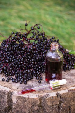 Halk ilaçları ve ahşap bir kütükte doğal siyah mürver şurubu. Mürver çileği..