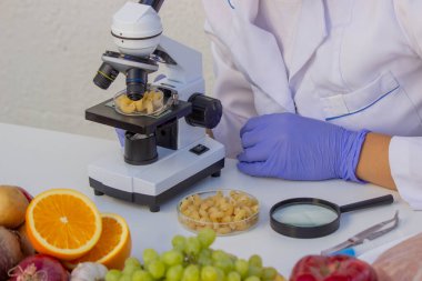 Makarna Laboratuvarı kontrolü. Malzeme Kalitesinin Mikroskobik Analizi