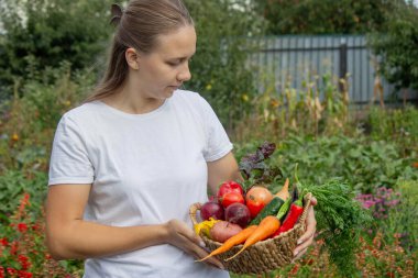 Bahçeden taze hasat. Bir sepet Organik Sebze Ellerinde