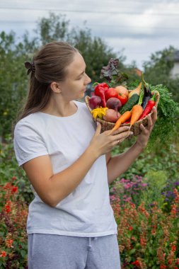Bahçeden taze hasat. Bir sepet Organik Sebze Ellerinde