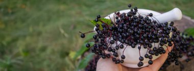 Doğal ilaçlar için havan mersinleri. Dokunulmazlık.