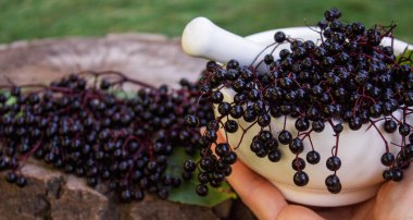 Doğal ilaçlar için havan mersinleri. Dokunulmazlık.