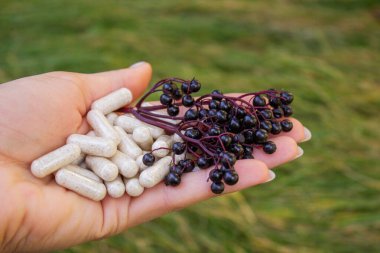 Eldeki Dokunulmazlık İçin Mürver ve Kapsüller.