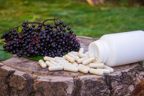 Doğal ilaçlar, kapsüller ve böğürtlenden yapılan bağışıklık takviyeleri.