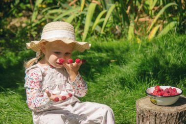 Bahçedeki küçük bir kız ahududu yiyor.