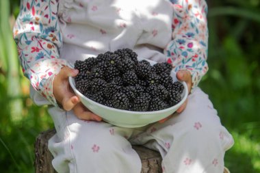 Küçük kız bahçede böğürtlen yiyor. Yazın gerçek tadı..