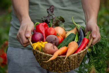 Farmer Holding a Wicker Basket Full of Fresh Organic Harvested Vegetables.
