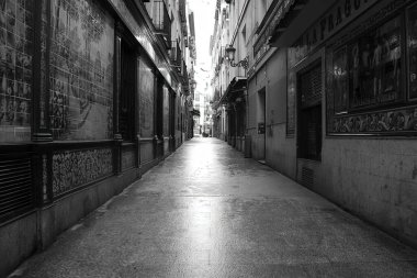 Madrid European capital a wonder in black and white