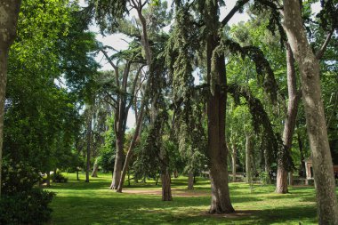 Madrid Retiro Parkı 'nda Palacio de Cristal adında bir mücevher var, şüphesiz bir mücevher..