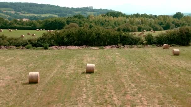 フランスの田舎のヘイボール — ストック動画