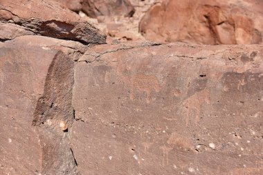 Twyfelfontein, Namibya - 07-16-2013: Kaya oymaları Kuzey Namibya 'daki Unesco Dünya Mirasları Alanıdır