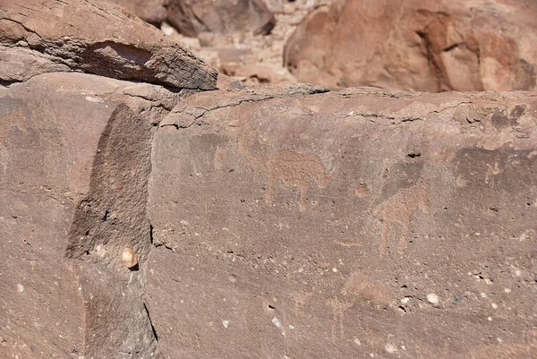 stock image Twyfelfontein, Namibia - 07-16-2013: rock engravings are a Unesco World Heritage Site in northern Namibia