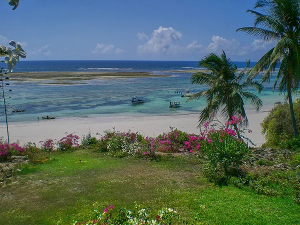 在肯尼亚印度洋酒店的阳台上 可以看到白色沙滩 棕榈树和绿松石水 — 图库照片