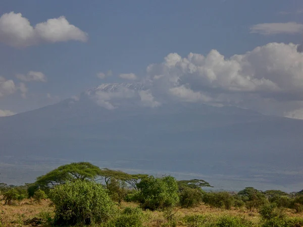 Kenya Daki Amboseli Milli Parkı Nın Zirvesinde Bulutlarla Kaplı Kilimanjaro — Stok fotoğraf